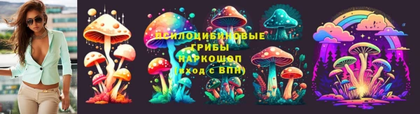 хмурый Алексеевка