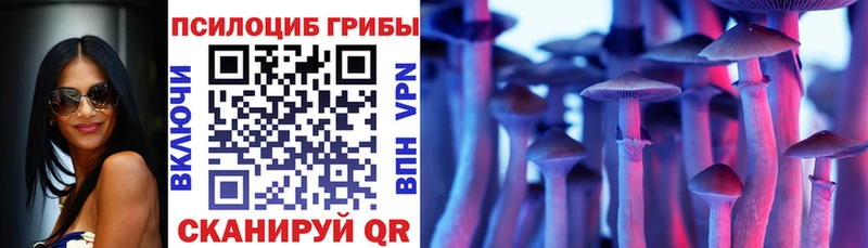 Псилоцибиновые грибы мухоморы  Цимлянск 
