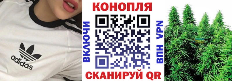 Шишки марихуана планчик  кракен ONION  Цимлянск 